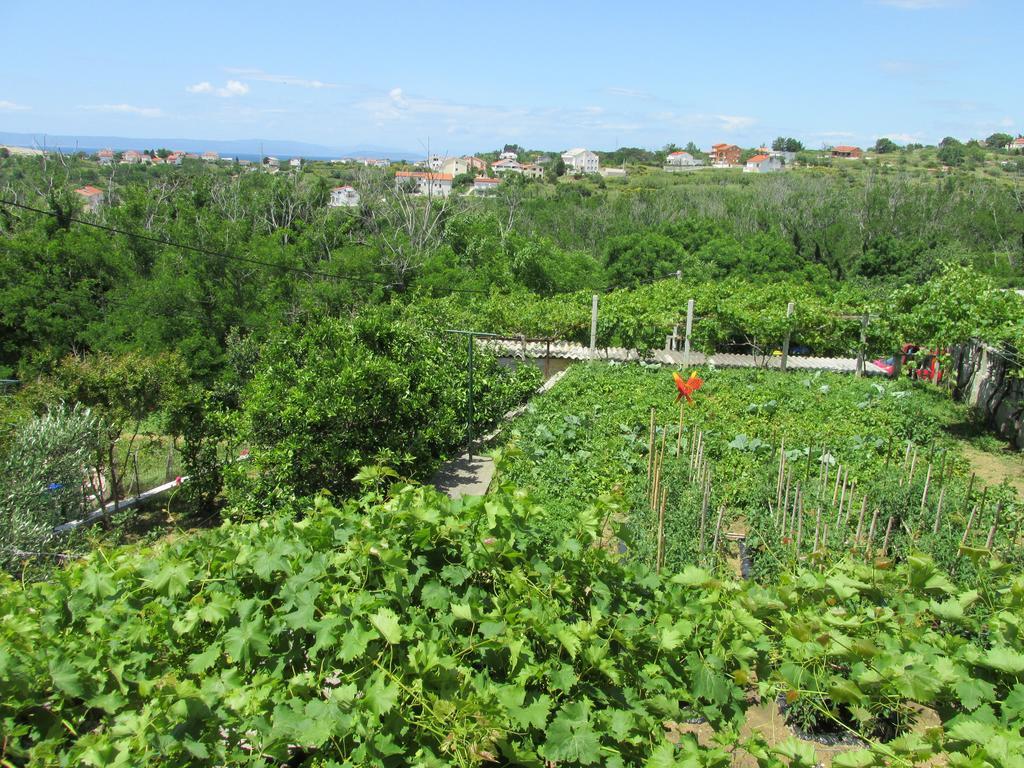Apartmani Roza Лопар Экстерьер фото