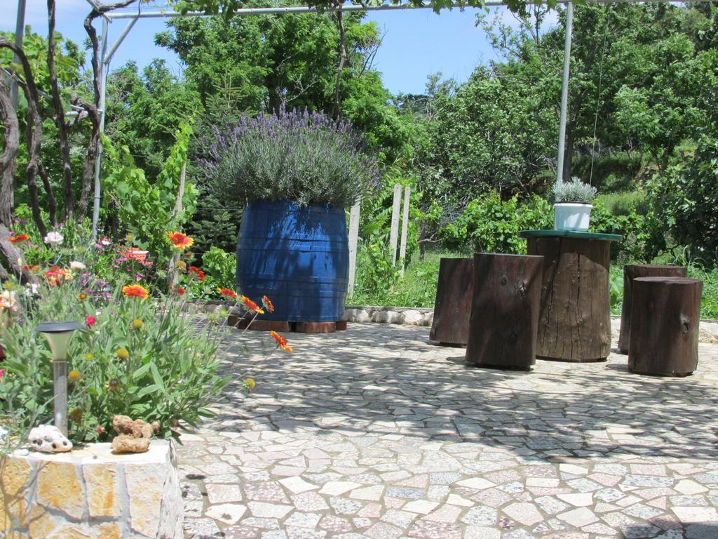 Apartmani Roza Лопар Экстерьер фото